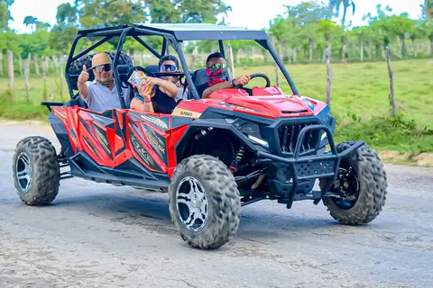 Buggy Familiar